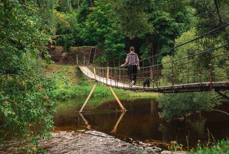 Miško Takas 69. Kirkšnovė – Kaulakiai.