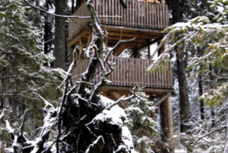 Aukštojo tyro regykla