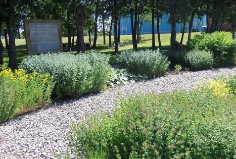 Baltų žolynų muziejus