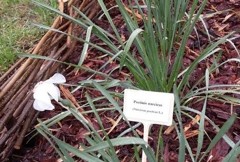 Lietuvos agrarinių ir miškų mokslų centro Sodininkystės ir daržininkystės institutas