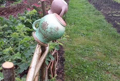 Lietuvos agrarinių ir miškų mokslų centro Sodininkystės ir daržininkystės institutas