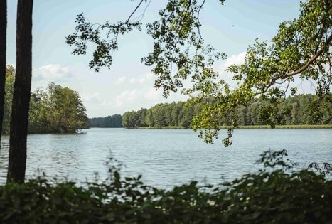 Miško Takas 54. Didžiasalis – Druskininkai – Žiogeliai.