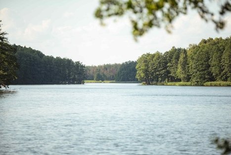 Miško Takas 54. Didžiasalis – Druskininkai – Žiogeliai.