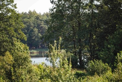 Miško Takas 51. Lazdijai – Veisiejai.