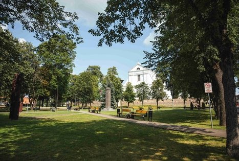 Miško Takas 51. Lazdijai – Veisiejai.