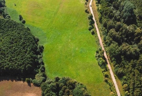 Miško Takas 51. Lazdijai – Veisiejai.