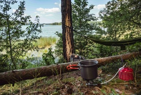 Miško Takas 52. Veisiejai – Trikojis.