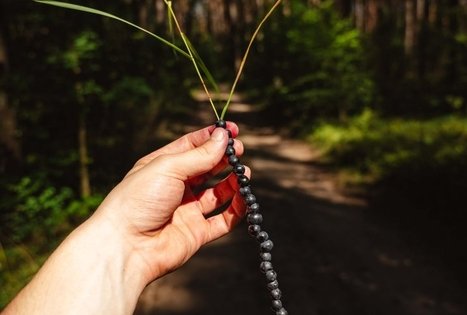 Miško Takas 52. Veisiejai – Trikojis.