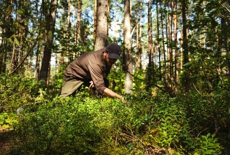 Miško Takas 52. Veisiejai – Trikojis.