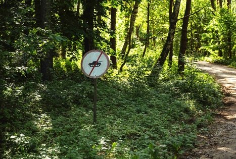 Miško Takas 52. Veisiejai – Trikojis.