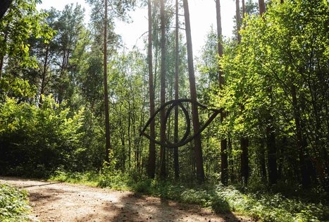 Miško Takas 52. Veisiejai – Trikojis.