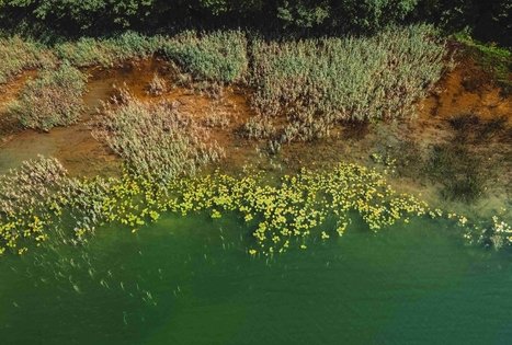 Miško Takas 52. Veisiejai – Trikojis.