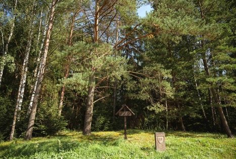 Miško Takas 52. Veisiejai – Trikojis.