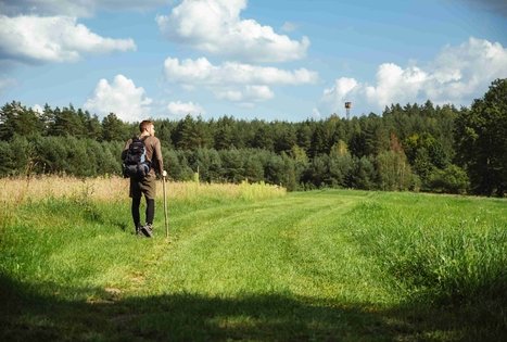 Miško Takas 52. Veisiejai – Trikojis.