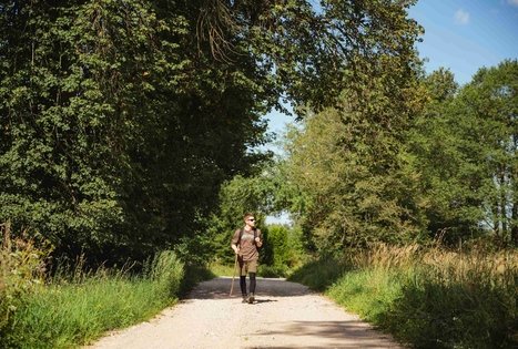Miško Takas 53. Trikojis – Didžiasalis.