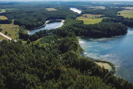 Miško Takas 53. Trikojis – Didžiasalis.