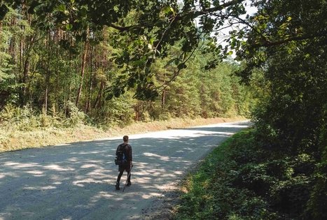 Miško Takas 53. Trikojis – Didžiasalis.