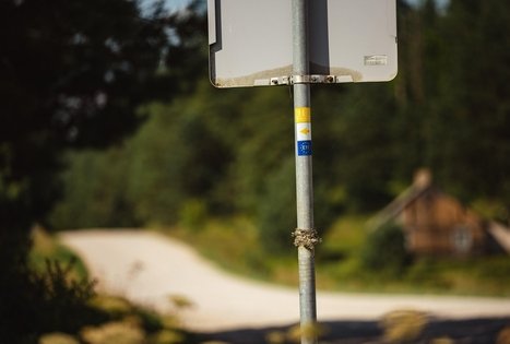 Miško Takas 53. Trikojis – Didžiasalis.