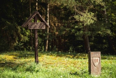 Miško Takas 53. Trikojis – Didžiasalis.