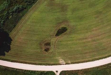 Miško Takas 53. Trikojis – Didžiasalis.