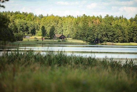 Miško Takas 53. Trikojis – Didžiasalis.