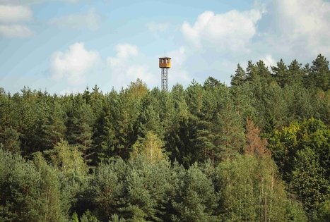 Miško Takas 53. Trikojis – Didžiasalis.