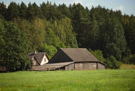 Miško Takas 53. Trikojis – Didžiasalis.