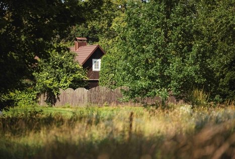 Miško Takas 53. Trikojis – Didžiasalis.
