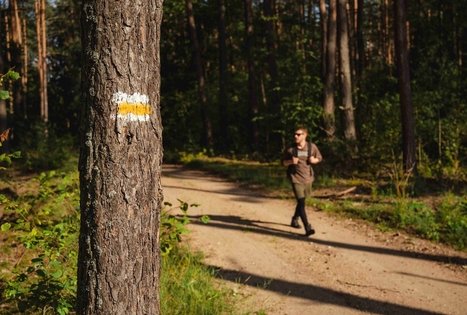 Miško Takas 54. Didžiasalis – Druskininkai – Žiogeliai.