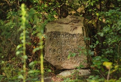 Miško Takas 54. Didžiasalis – Druskininkai – Žiogeliai.