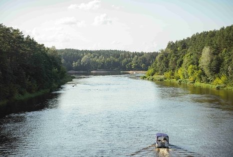 Miško Takas 54. Didžiasalis – Druskininkai – Žiogeliai.