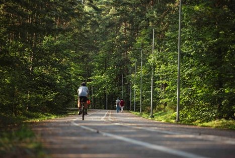 Miško Takas 54. Didžiasalis – Druskininkai – Žiogeliai.