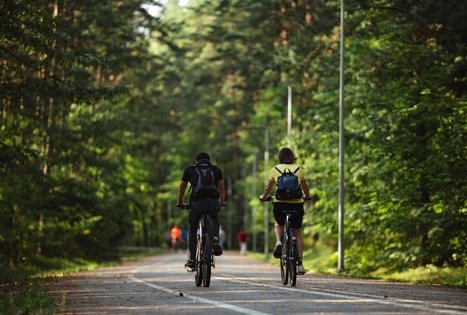 Miško Takas 54. Didžiasalis – Druskininkai – Žiogeliai.