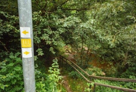 Miško Takas 58. Alytus – Panemunis.