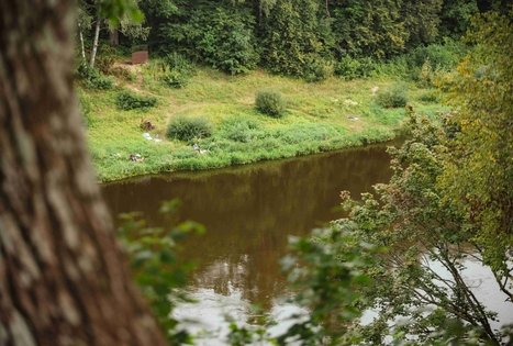 Miško Takas 58. Alytus – Panemunis.