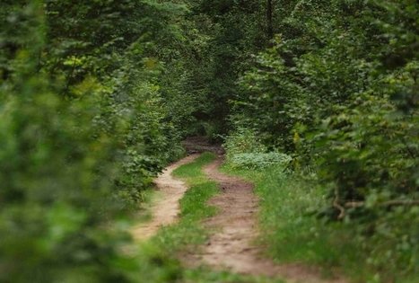 Miško Takas 58. Alytus – Panemunis.