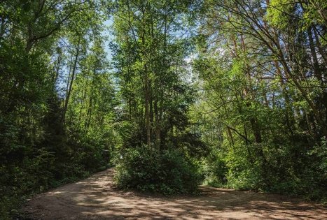 Miško Takas 58. Alytus – Panemunis.