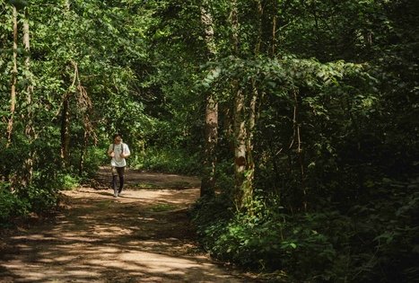 Miško Takas 58. Alytus – Panemunis.