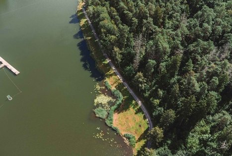 Miško Takas 57. Nemunaitis – Alytus.