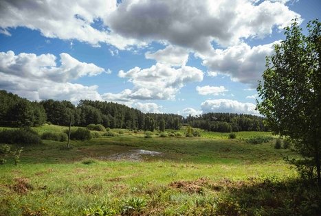 Miško Takas 57. Nemunaitis – Alytus.