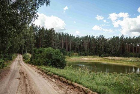 Miško Takas 56. Merkinė – Nemunaitis.