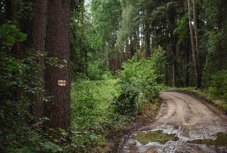 Miško Takas 56. Merkinė – Nemunaitis.