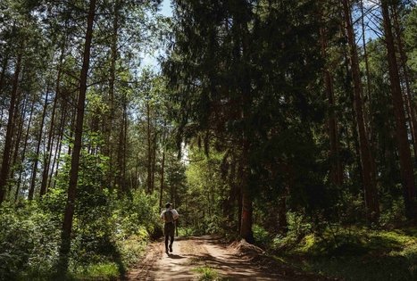 Miško Takas 56. Merkinė – Nemunaitis.