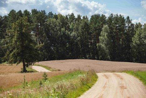 Miško Takas 56. Merkinė – Nemunaitis.