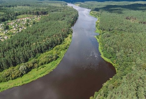 Miško Takas 56. Merkinė – Nemunaitis.