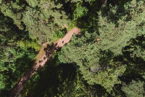 Miško Takas 56. Merkinė – Nemunaitis.