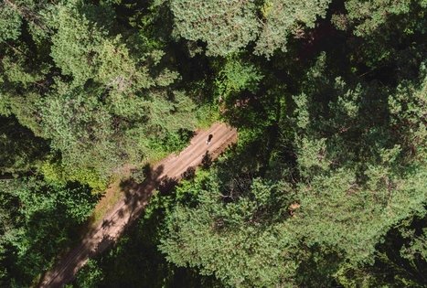 Miško Takas 56. Merkinė – Nemunaitis.