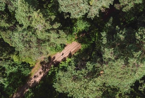 Miško Takas 56. Merkinė – Nemunaitis.