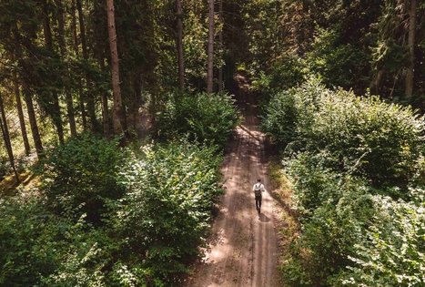 Miško Takas 56. Merkinė – Nemunaitis.