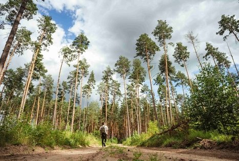 Miško Takas 55. Žiogeliai – Merkinė.